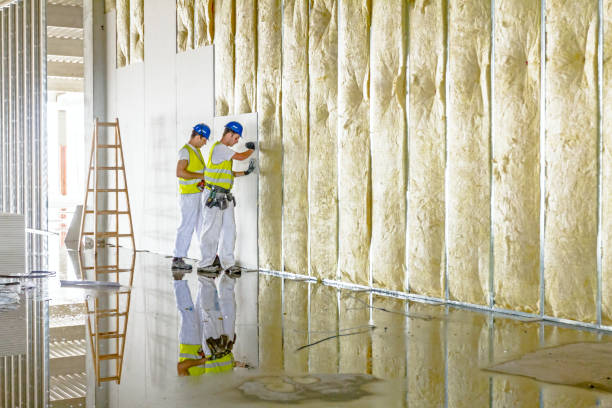 Best Crawl Space Insulation  in Edwardsburg, MI